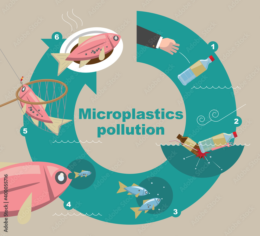 Illustrative diagram of how Microplastics pollute the environment Stock ...