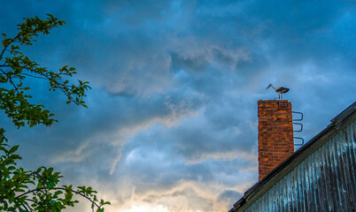 stork on the chimney of an old village house during an impending summer thunderstorm