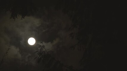 Wall Mural - establishing moon on eerie night