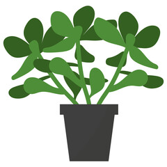 Poster - Jade Potted Plant 