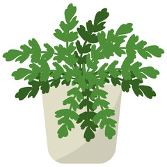 Canvas Print - Maidenhair Fern Plant 