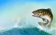Bass fish jumps out of water realistic illustration. Smallmouth bass perch fishing in the usa on a river or lake. Horizontal background mobile version of the sea wave sunny day place for text.