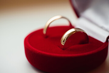 Wall Mural - pair of gold wedding rings lie in a red box close-up