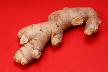 Aufkleber - natural ginger root on a red background