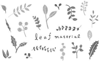 Wall Mural - Hand drawn leaf material illustration set