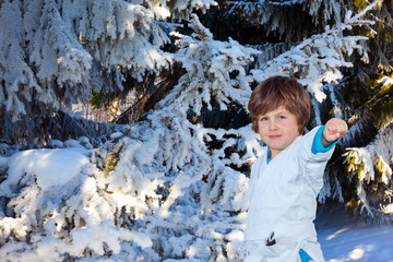 Sticker - Huge spruce covered with snow