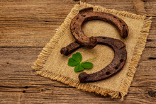 Two Very Old Cast Iron Metal Horse Horseshoes, Fresh Clover Leaf. Good Luck Symbol, St.Patrick's Day Concept
