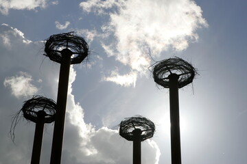 Four poles with stork nests against the sky. Blue sky with white clouds, sunlight