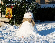 Small Snowman With A Carrot Nose Hat And Scarf