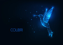 Futuristic Glowing Low Polygonal Flying Colibri Bird On Dark Blue Background