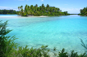 Wall Mural - View of a tropical landscape with palm trees, white sand and the turquoise lagoon water in Bora Bora, French Polynesia, South Pacific