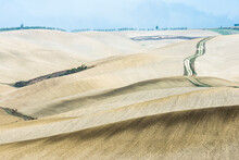 Italy, Tuscany, San Quirico D'orcia, Long Twisting Rural Road Leading Through Endless Fields