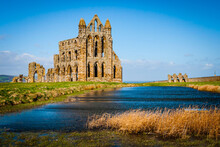 Ruins Of The Ancient Whitby Abbey, Yorkshire, United Kingdom
