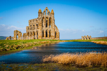 Wall Mural - Ruins of the ancient Whitby Abbey, Yorkshire, United Kingdom