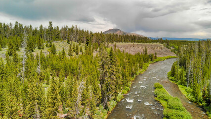 Wall Mural - Aerial view of Yellowstone River on a summer day