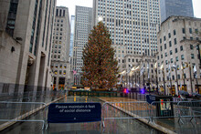 The Christmas Tree At Rockefeller Center