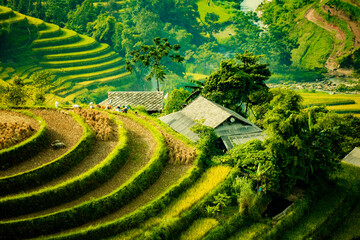 Beautiful view of Rice terrace at Hoang Su Phi. Viewpoint in Hoang Su Phi district, Ha Giang province, Vietnam