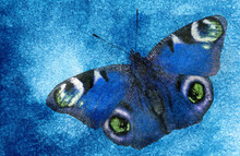 Blue Watercolor Background. Beautiful Blue Butterfly On The Background Of Blue Abstract Watercolor Pattern