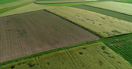 Wall Mural - Drone aerial view of large farming fields in Slovenia flatland with mountains in the distance. Agriculture farmland with green meadows. Amazing elevated scenic view. Ascending