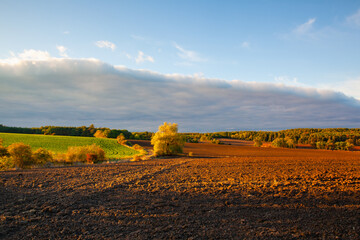 Wall Mural - On the empty field after harvesting in summer evening.