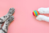 White and gray cat paws and ball. Pink background, copy space, top view. Concept of games and entertainment for pets..