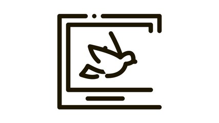 Poster - Bird Picture Or Photo Card Icon Thin Line . Flying Bird Silhouette Image In Frame, Ornithology animated icon on white background