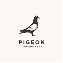 Pigeon Bird Logo Design Icon Vector Illustration