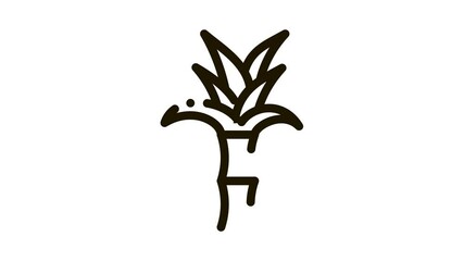 Sticker - Sugar Cane Plant Icon Animation. black Sugar Cane Plant animated icon on white background