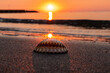 Muschel am Strand mit Sonnenuntergang
