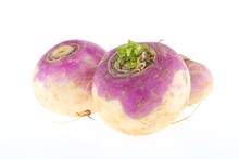 Freshly Harvested Spring Turnips (Brassica Rapa) On A White Background Indian Turnips