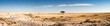 Tree in the plains of Etosha National Park on the edge the salt pan - pano view
