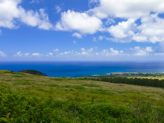 Wall Mural - nature of Easter Island, landscape, vegetation and coast.