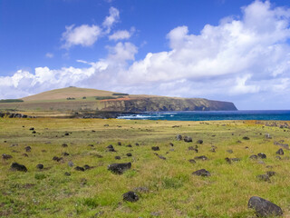 Wall Mural - nature of Easter Island, landscape, vegetation and coast.