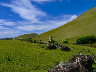 Wall Mural - nature of Easter Island, landscape, vegetation and coast.