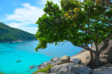 Sticker - Similan Island is a very beautiful island with crystal clear water and powder white sand. Thailand