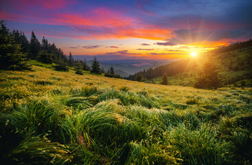 Wall Mural - attractive evening landscape illuminated by the sunset. carpathian mountains, ukraine, europe.