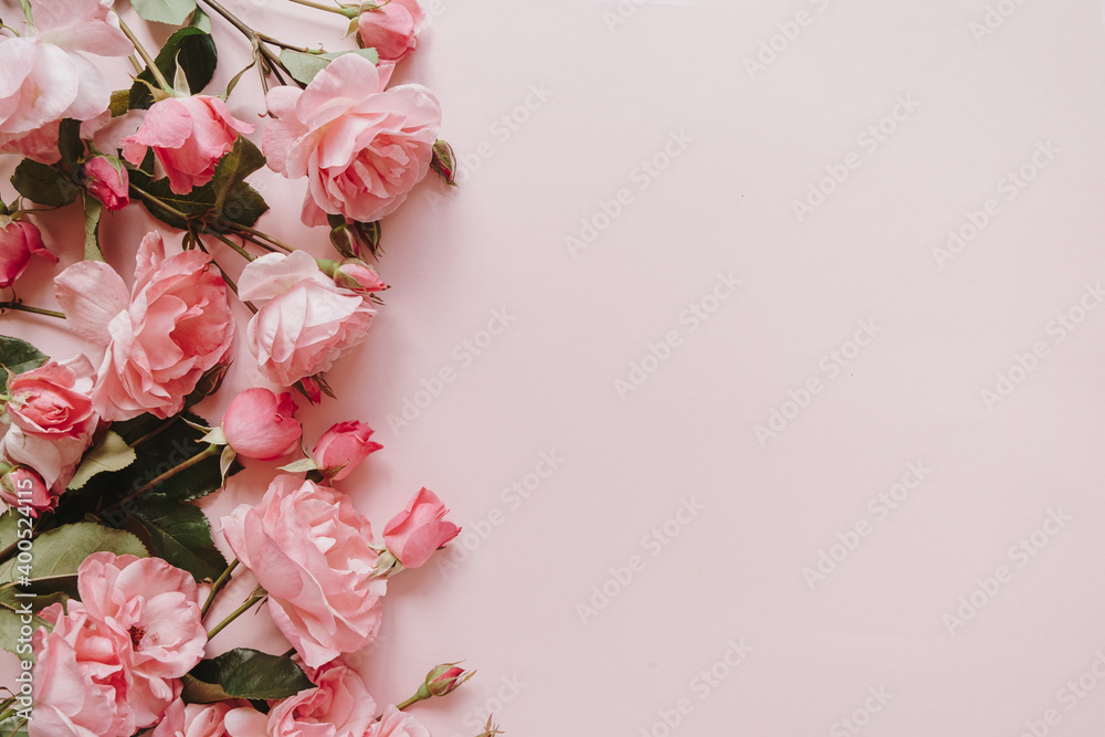 Pink rose flowers bouquet on pink background. Flat lay, top view minimal floral composition. - obrazy, fototapety, plakaty 
