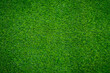 © Anucha - Green grass pattern and texture for background. Close-up image.