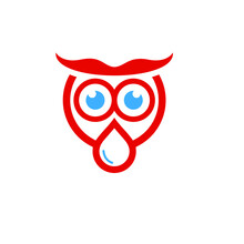 Owl Water Drop Logo Design 