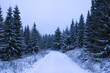 Snowy road in winter forest in the mountains. Christmas winter path covered by snow.