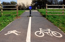 Circular Shared Cycling And Walking Sign With White Road Markings Of Bike And Person Walking.