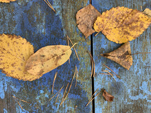 Autumn Leaves Over Green Blue Background