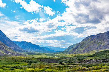 stream in the northern mountain valley on a summer day