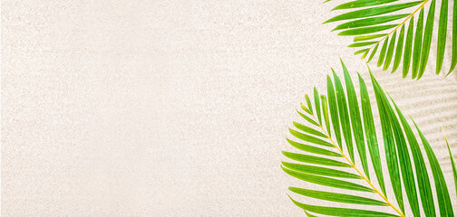 Wall Mural - Green palm tree brunches on white sand, top view, copy space, banner