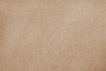 Poster - Beige textured cardboard texture and background