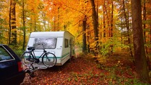 Caravan Trailer With A Bicycle Parked In A Golden Beech Tree Forest. Colorful Red, Orange And Yellow Leaves On The Ground. Panoramic Autumn Landscape. Leisure Activity In Heidelberg, Germany