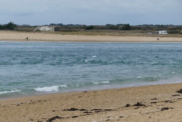 Poster - beach and algae 