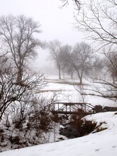 Foggy Landscape With Snow, Bare Trees And Footbridge