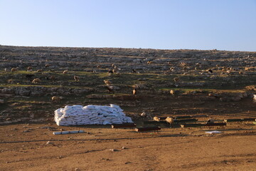 Sticker - bales in the field