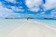 Maldives sandbank with island and water villas in background